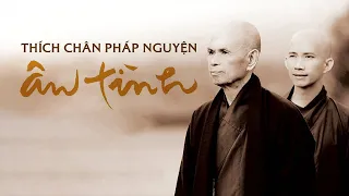 [Sách Nói] Ân Tình - Tu Học Theo Con Đường Của Thiền Sư Thích Nhất Hạnh | Chương 1 #tamlinh