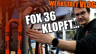 Der Wahnsinn geht weiter ... FOX 36 klopfen, Reba Service überfällig + Kassette am Stereo tauschen