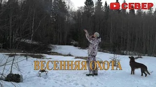 ВЕСЕННЯЯ ОХОТА. УТКА, ВАЛЬДШНЕП