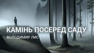 Аудіокнига "Камінь посеред саду", Володимир Лис