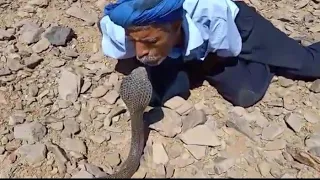 أخطر صياد أفاعي🐍 في المغرب حير قناة ناسيونال جيوغرافيك هو والكوبرا وجها لوجه 🇲🇦Kiss the killer cobra