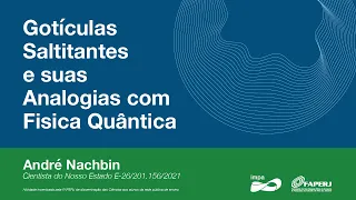 Gotículas Saltitantes e suas Analogias com Fisica Quântica - André Nachbin