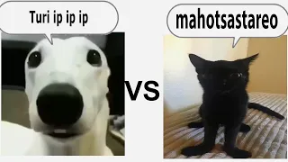 turi ip ip ip vs mahotsastareo (Epic Rap Battle)