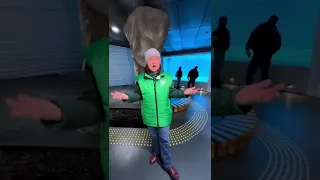 Новое уникальное место в Московском зоопарке – павильон «Ластоногие»! #морж #тюлень #морскойкотик
