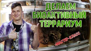 Как сделать биоактивный террариум своими руками. Мастер-класс.