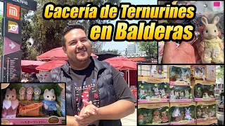 Cacería Ternurines en Balderas