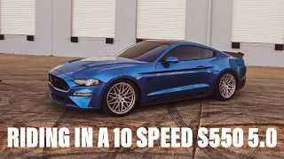 PULLS IN A 10 SPEED 2019 MUSTANG GT!!