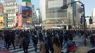 The Famous Shibuya Crossing - Busiest Crossing in Japan