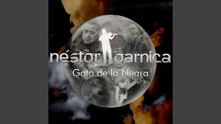 Gato de la Negra (En Vivo)