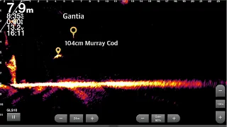 Garmin Live Scope Settings. How I set up my Live Scope for fishing freshwater impoundments.