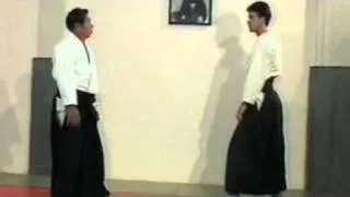 Katate Dori Irimi Nage