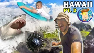 Mike Gets Stuck in Hawaii! Shark Fears & Weird Sea Creature (FUNnel Vision  Maui Trip Part 2)