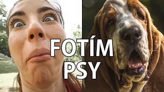 FOTÍM CIZÍ PSY V PARKU