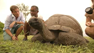 Seychelles Eco Tourism - Experience the beauty up close