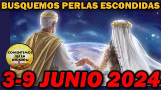 Comentarios Perlas Escondidas de Esta Semana 3-9 Junio 2024