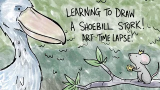 Learning To Draw A Shoebill Stork Art Time Lapse!