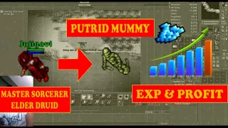 Tibia - Putrid Mummy MS/ED 80+  RP 90+ // Profit+EXP