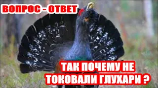 ПОЧЕМУ ГЛУХАРИ НЕ ТОКОВАЛИ ? ВОПРОС - ОТВЕТ.