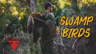 Swamp Birds | Florida Osceola Turkey Hunting