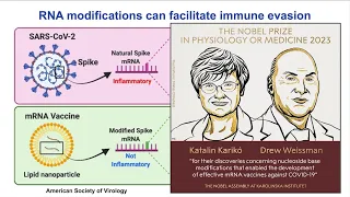 Single Molecule Sequencing: Dynamics of M6A in Viruses