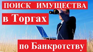 8. Поиск имущества в торгах по банкротству. Информация для новичков. Алгоритм нахождения имущества.