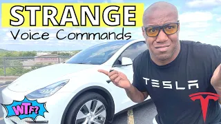11 WEIRD Tesla Voice Commands You Should Know (Model S, Model 3, Model X, Model Y)