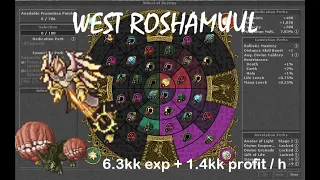 Tibia [ RP 800+ ] West Roshamuul Hunt & Wheel of Destiny - ESP / ENG