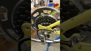 The freewheel wobble