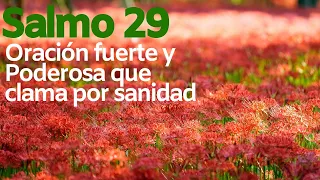 Salmo 29 - Oración fuerte y Poderosa que clama por sanidad