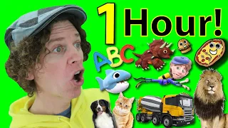 1 Hour of Songs with Matt| Food, Animals, Dinosaurs, Vehicles | Learn English, Preschool