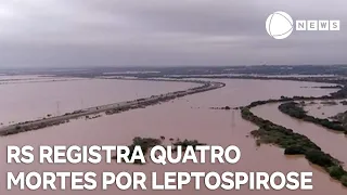 Rio Grande do Sul registra quatro mortes por leptospirose