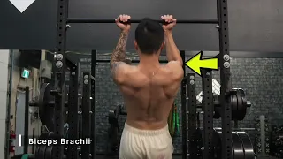 Chin-Ups for Biceps