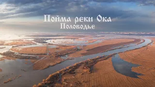 Пойма реки Ока. Половодье