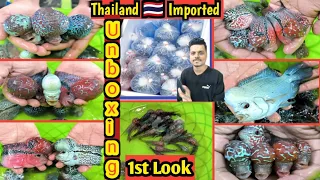 Thiland Imported FlowerHorn Unboxing | 1st Look | Flowerhorn Fish | Thai Silk | SRD | Campha | GB