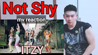 [MV Reaction] ITZY(있지) - 'Not Shy' 뮤비 리액션