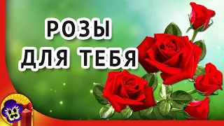 Розы для тебя. Исполнитель песни Игорь Янакий.