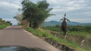 Kinshasa drive thru: Most Amazing Scenic drive to Parc de la N'sele