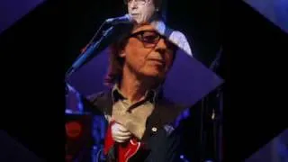 Bill Wyman's Rhythm Kings in concert