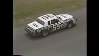 1984 NASCAR Winston Cup Series TranSouth 500 At Darlington Raceway