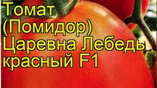 Томат обыкновенный Царевна Лебедь красный. Краткий обзор, описание характеристик, где купить семена