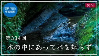 第334回「水の中にあって水を知らず」2021/12/6【毎日の管長日記と呼吸瞑想】｜ 臨済宗円覚寺派管長 横田南嶺老師