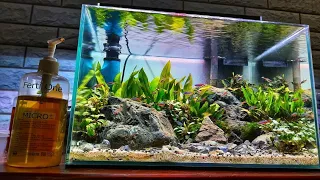 #129 Membuat Aquascape tanpa pupuk dasar dan injeksi co2 || Pinggiran sungai || [Subtitle English]