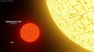 Biggest Star vs Quasi-star Size Comparison | 3d Animation comparison 4k (60 fps)