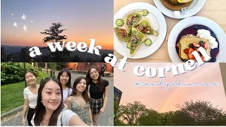 A WEEK IN MY LIFE AT CORNELL UNIVERSITY | sophomore fall🤍