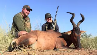 Hunting the Red Hartebeest in Namibia