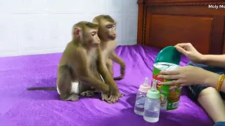 Cute Family, Mori And Dodo Sitting Wait Mom Prepare Milk And Mixing Milk