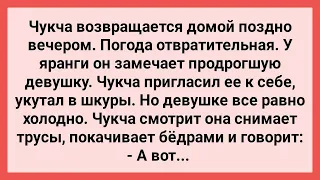 Чукча Приютил Девушку без Трусов! Сборник Свежих Смешных Жизненных Анекдотов!