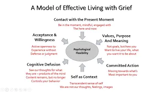 Grief and Bereavement from a Mindful perspective