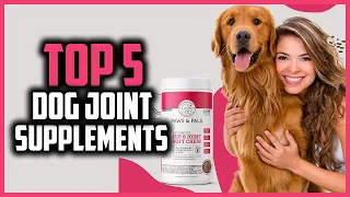 ✅Top 5 Best Dog Joint Supplements of 2024