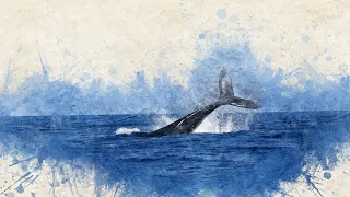 Ocean Giants: Majestic Encounters with Whales